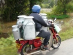 milk-cans.JPG (220 KB)